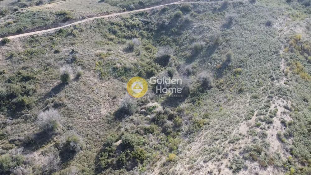 Αγροτεμάχια 9.600 τ.μ. προς πώληση, Θυνί