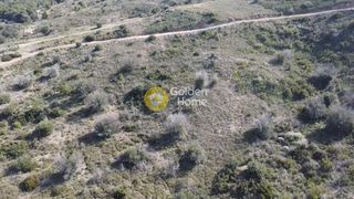 Αγροτεμάχια 9.600 τ.μ. για πώληση, Αργολίδα, Κρανίδι-thumb-4