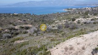 Αγροτεμάχια 9.600 τ.μ. για πώληση, Αργολίδα, Κρανίδι-thumb-11