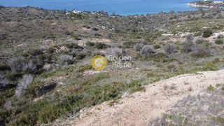 Αγροτεμάχια 9.600 τ.μ. για πώληση, Αργολίδα, Κρανίδι-thumb-6