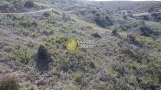 Αγροτεμάχια 9.600 τ.μ. για πώληση, Αργολίδα, Κρανίδι-thumb-13