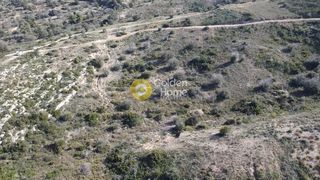 Αγροτεμάχια 9.600 τ.μ. για πώληση, Αργολίδα, Κρανίδι-thumb-10