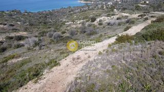 Αγροτεμάχια 9.600 τ.μ. για πώληση, Αργολίδα, Κρανίδι-thumb-12