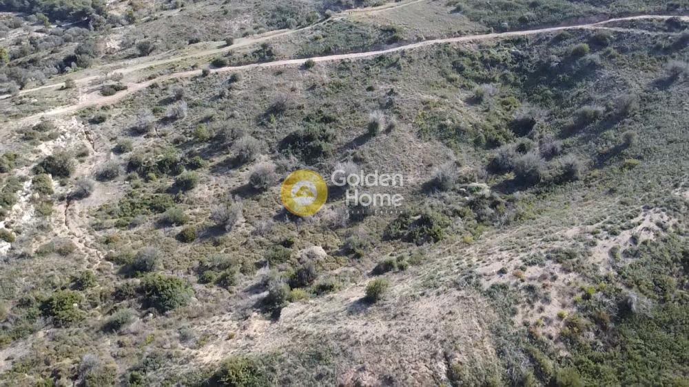 Αγροτεμάχια 9.600 τ.μ. για πώληση, Αργολίδα, Κρανίδι