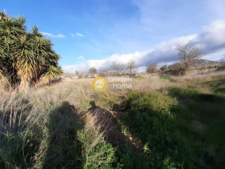 Οικόπεδο 812τ.μ. για πώληση-Αίγινα » Κυψέλη