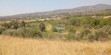 Αγροτεμάχια 4.660τ.μ. για πώληση-Κ. καπανδριτίου » Άγιοι ανάργυροι