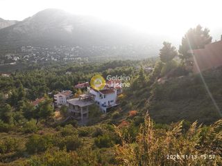 Οικόπεδο 786 τ.μ. προς πώληση