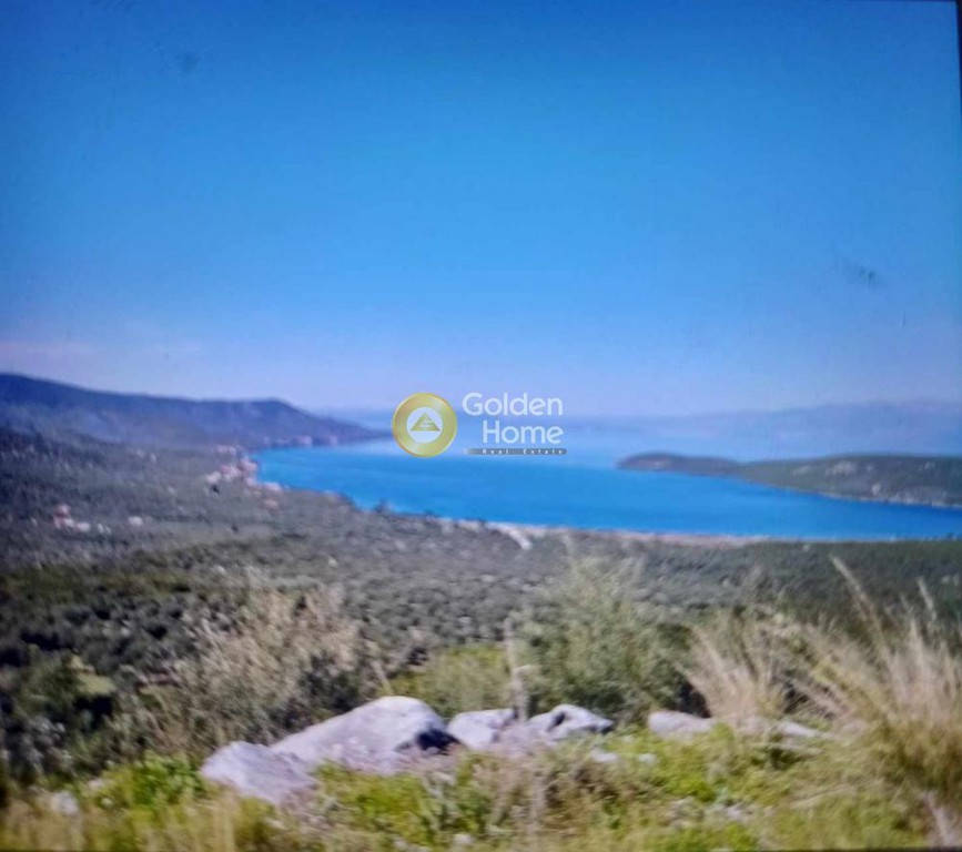 Οικόπεδο 1.500 τ.μ. πρός πώληση, Μαγνησία, Σούρπη