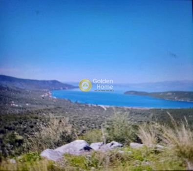 Οικόπεδο 1.500 τ.μ. πρός πώληση