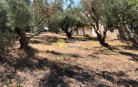 Οικόπεδο 690τ.μ. για πώληση-Αχαρνές » Αγριλέζα