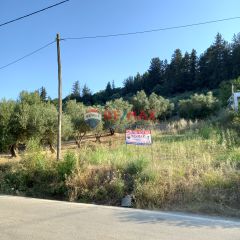 Οικόπεδο 1.426 τ.μ. για πώληση