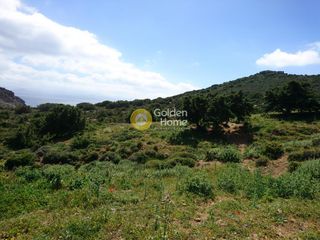 Αγροτεμάχια 4.050 τ.μ. προς πώληση, Μώλος Πάρου-thumb-1