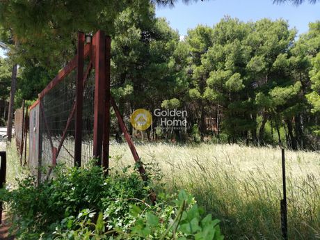 Οικόπεδο 2.095 τ.μ. για πώληση