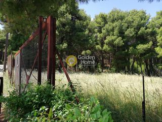 Οικόπεδο 2.095 τ.μ. προς πώληση