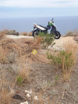 Αγροτεμάχια 7.208 τ.μ. προς πώληση