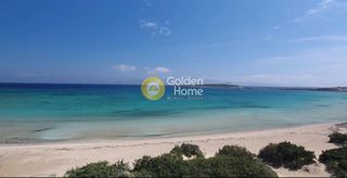 Αγροτεμάχια 8.022 τ.μ. για πώληση