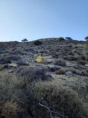Αγροτεμάχια 3.054 τ.μ. προς πώληση, Καλαμάκι Τυμπακίου-thumb-1