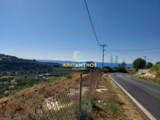 Οικόπεδο 42.000 τ.μ. για πώληση