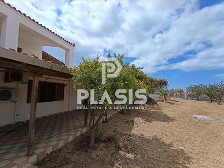 Farm 150sqm for sale-Palaia Fokaia