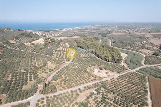 Οικόπεδο 17.100 τ.μ. για πώληση