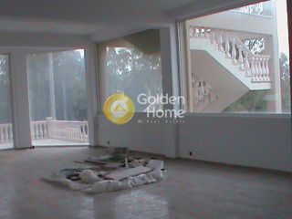 Store 435 sqm for sale