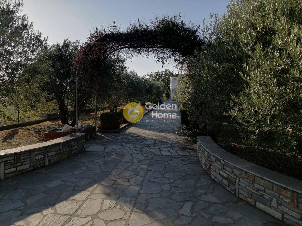 Μονοκατοικία 300 τ.μ. προς πώληση, Λιβαδάκιο