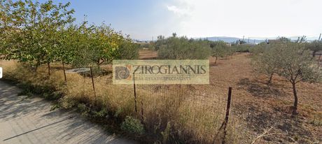 Parcel 4.300sqm for sale-Nea Peramos (Megalo Pefko)
