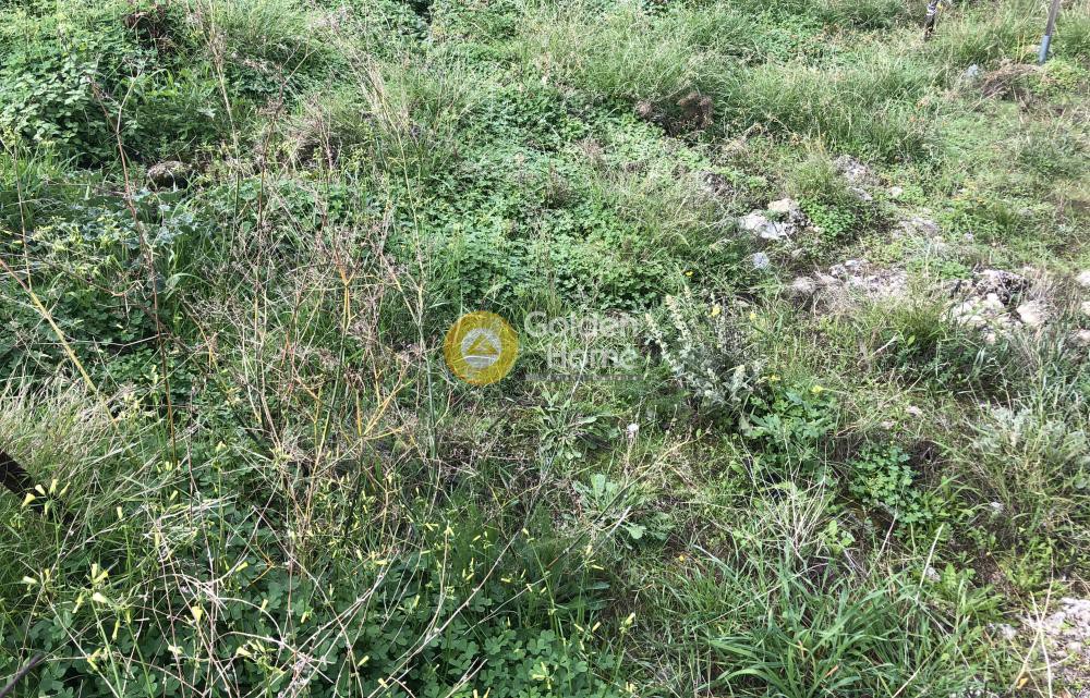 Οικόπεδο 4.100 τ.μ. προς πώληση, Ελιά Μυκόνου