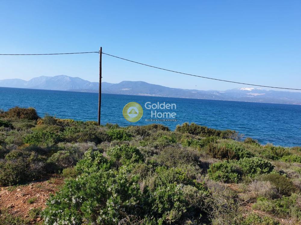 Αγροτεμάχια 4.022 τ.μ. προς πώληση, Δροσιά Ανθηδώνος