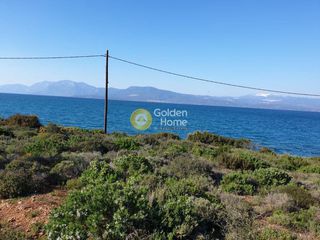 Αγροτεμάχια 4.022 τ.μ. για πώληση