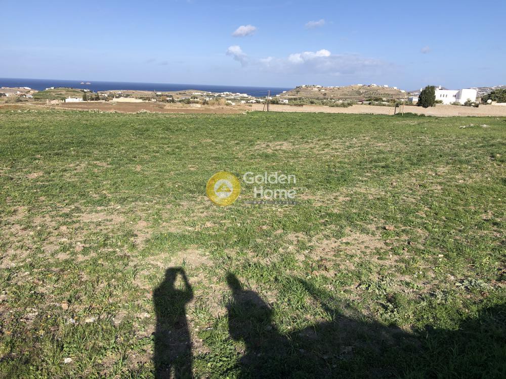 Αγροτεμάχια 5.900 τ.μ. προς πώληση, Παράσπορος