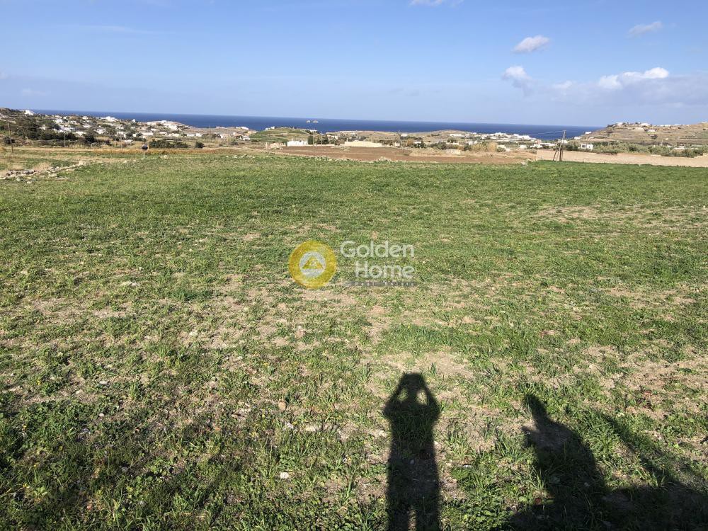 Αγροτεμάχια 5.900 τ.μ. προς πώληση, Παράσπορος