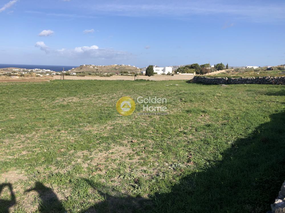 Αγροτεμάχια 5.900 τ.μ. προς πώληση, Παράσπορος