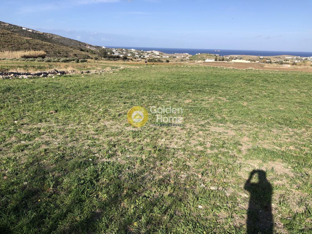 Αγροτεμάχια 5.900 τ.μ. προς πώληση, Παράσπορος