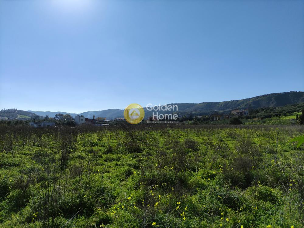 Οικόπεδο 4.540 τ.μ. προς πώληση, Φοινικιά