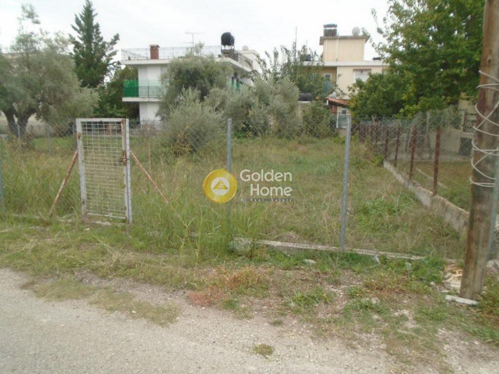 Οικόπεδο 385 τ.μ. προς πώληση, Ελληνοχώρι Βέλου