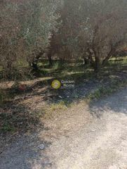 Αγροτεμάχια 500 τ.μ. για πώληση