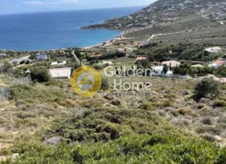 Αγροτεμάχια 2.100 τ.μ. για πώληση