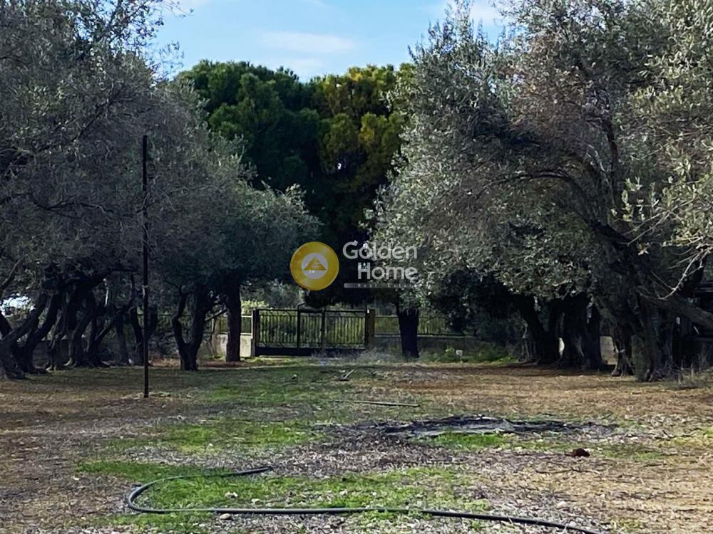 Μονοκατοικία 163 τ.μ. προς πώληση, Κάστρο Χαλκίδας