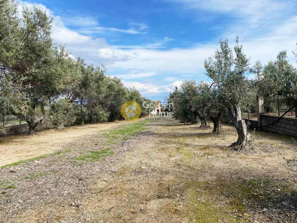 Μονοκατοικία 163 τ.μ. προς πώληση, Κάστρο Χαλκίδας
