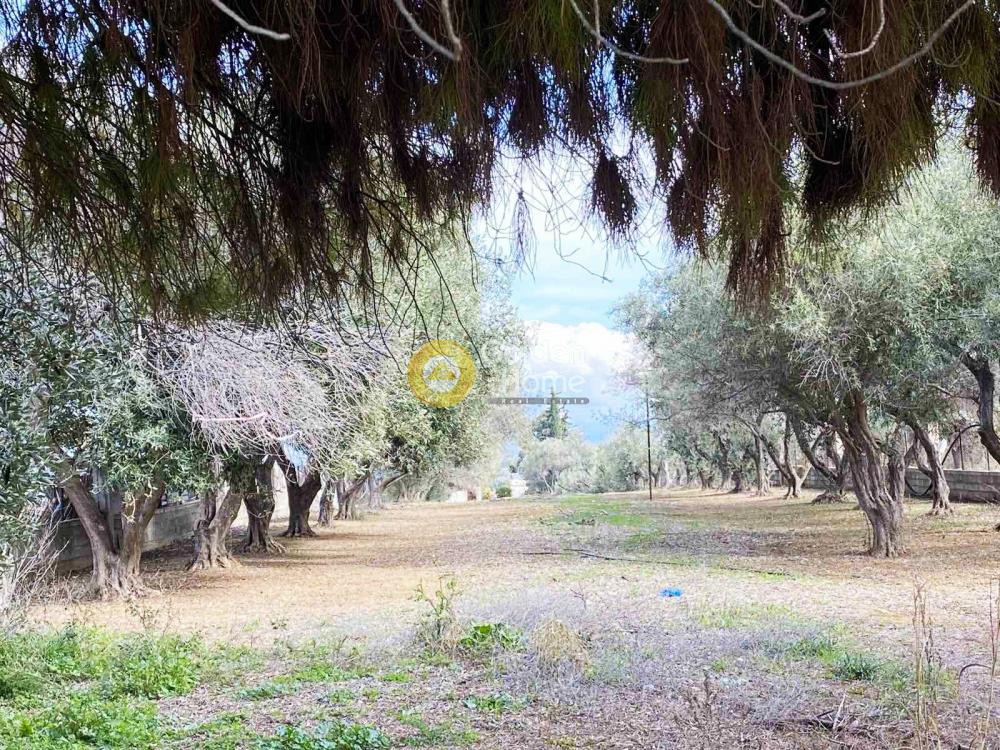 Μονοκατοικία 163 τ.μ. προς πώληση, Κάστρο Χαλκίδας