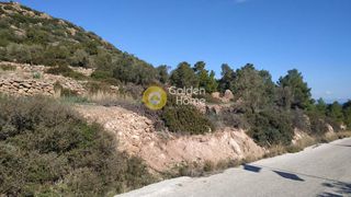 Αγροτεμάχια 900 τ.μ. προς πώληση