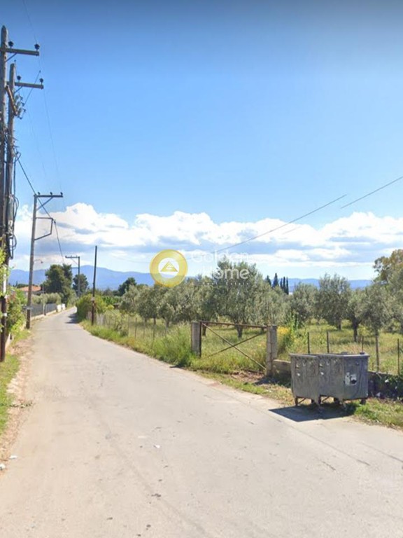 Οικόπεδο 4.000 τ.μ. προς πώληση, Πανόραμα Ληλαντίου