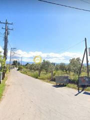 Οικόπεδο 4.000 τ.μ. προς πώληση, Πανόραμα Ληλαντίου-thumb-6