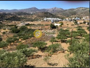 Αγροτεμάχια 4.469 τ.μ. για πώληση