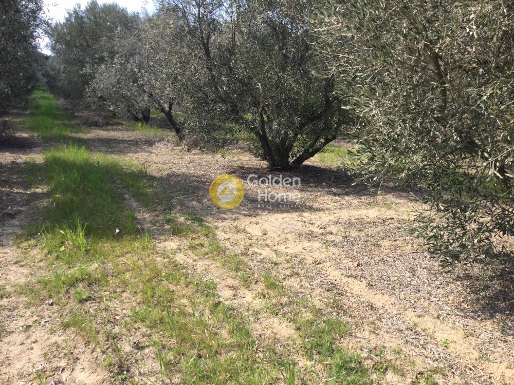 Οικόπεδο 332 τ.μ. προς πώληση, Νέα Ηράκλεια