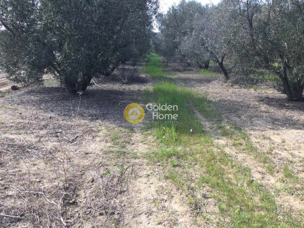 Οικόπεδο 332 τ.μ. προς πώληση, Νέα Ηράκλεια