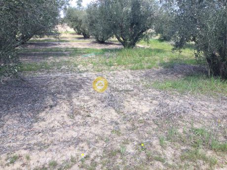 Land plot 332 sqm for sale