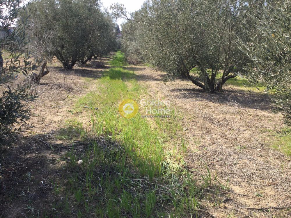 Οικόπεδο 332 τ.μ. προς πώληση, Νέα Ηράκλεια