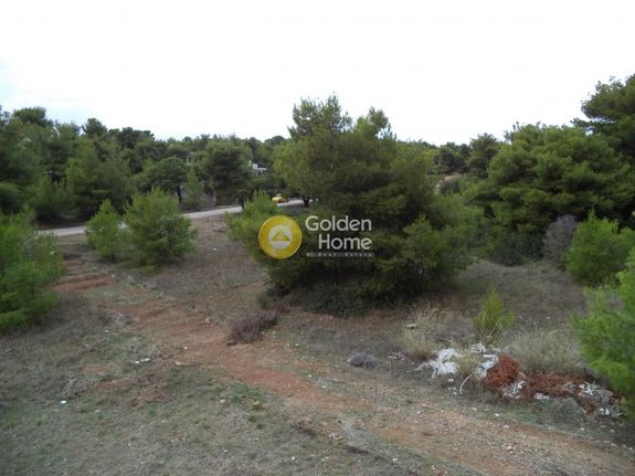 Αγροτεμάχια 980 τ.μ. για πώληση, Αθήνα - Ανατολικά Προάστια, Γραμματικό